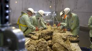 fatberg autopsy